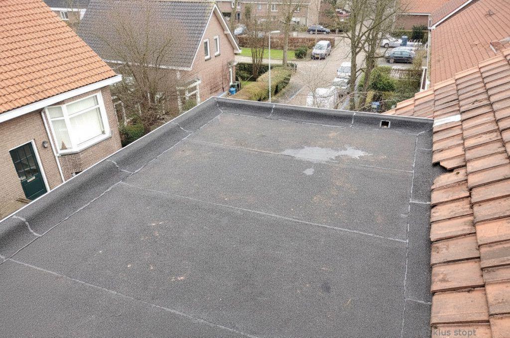 Dakdekker In Najaar Maarssen