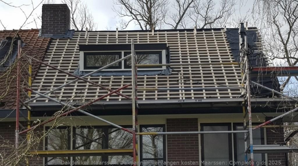 Dakpannen Vervangen Kosten Maarssen