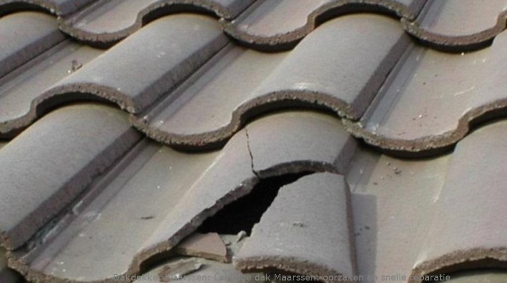 Lekkage dak Maarssen: oorzaken en snelle reparatie
