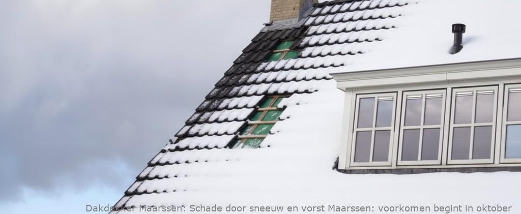 Schade Door Sneeuw En Vorst Maarssen